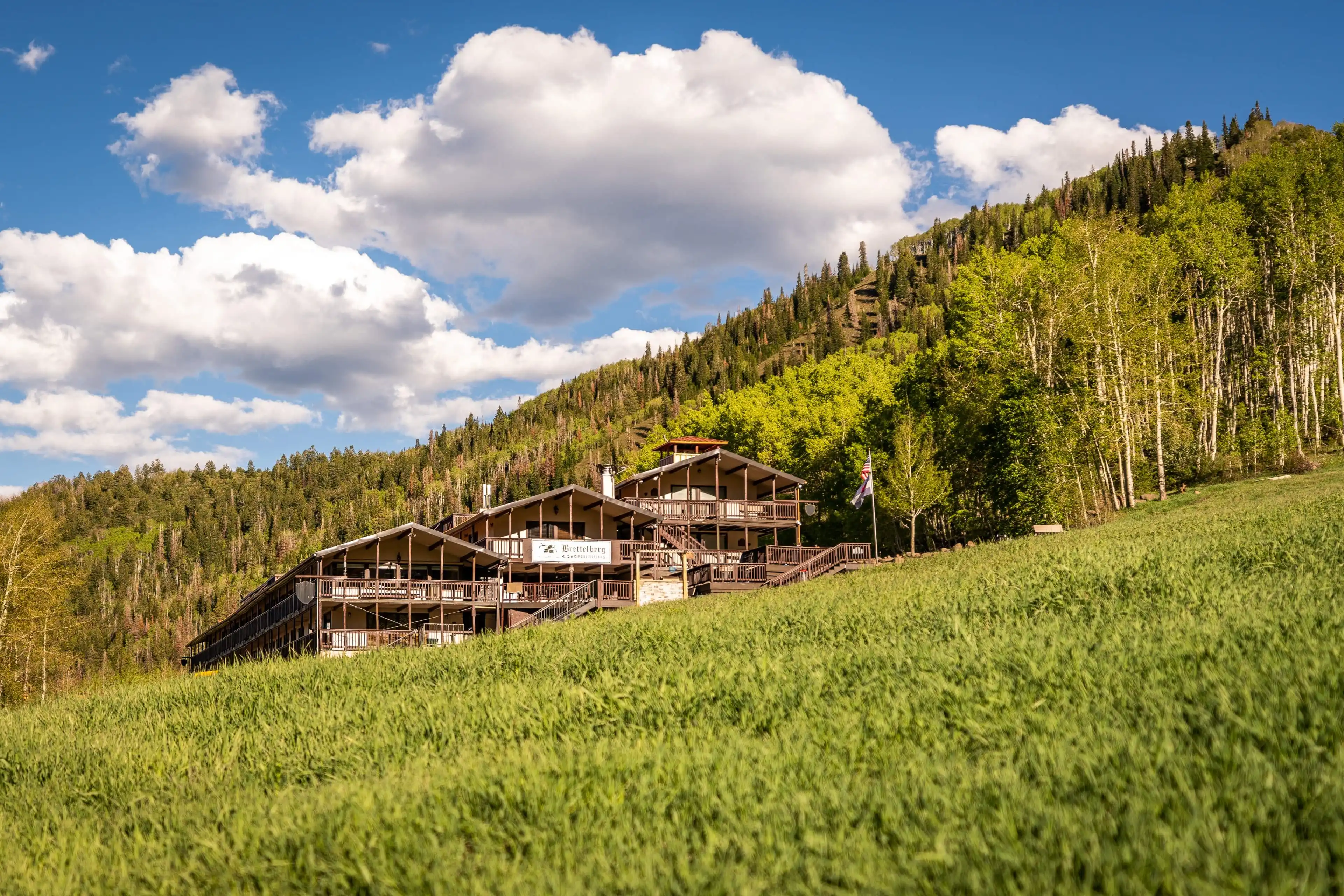 Summer hiking trails and wildflower meadows