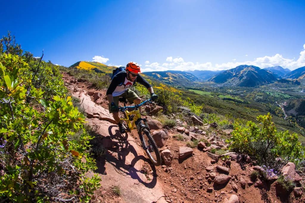 Hiking trails winding through aspen groves on property